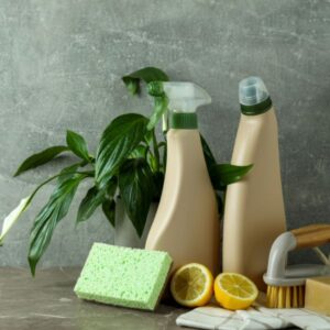 Hogar y decoración ecológica